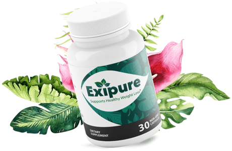Exipure Review – The One-Of-A-Kind Secret For Your Weight Loss Journey